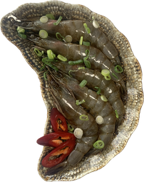 SHRIMP